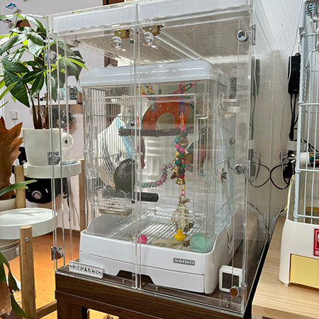 ウロコインコの鳥かごを入れたアクリルケース